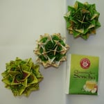 Chinesischer Sencha